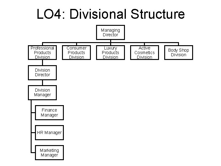 LO 4: Divisional Structure Managing Director Professional Products Division Director Division Manager Finance Manager