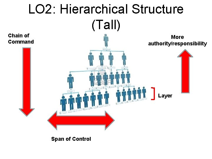 LO 2: Hierarchical Structure (Tall) Chain of Command More authority/responsibility Layer Span of Control