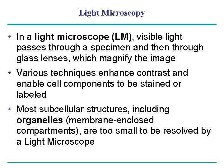 Light Microscopy • In a light microscope (LM), visible light passes through a specimen