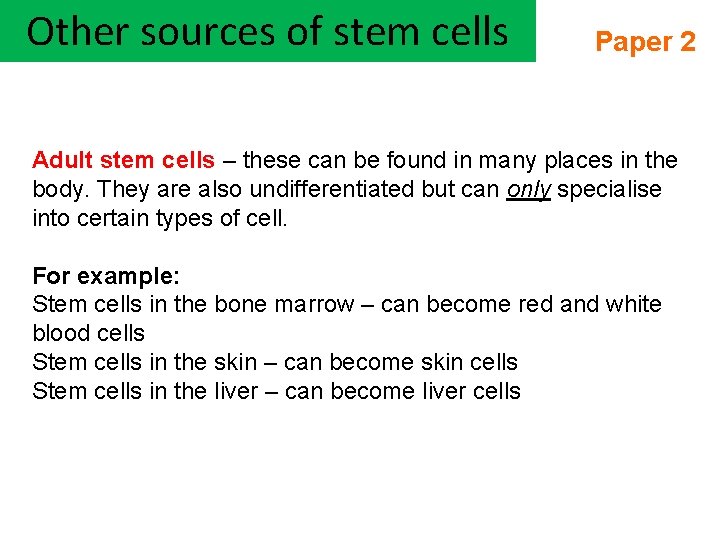 Other sources of stem cells Paper 2 Adult stem cells – these can be
