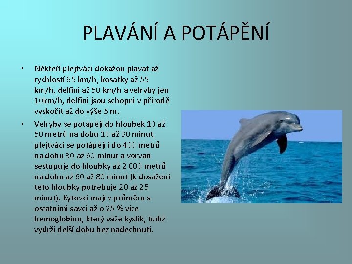 PLAVÁNÍ A POTÁPĚNÍ • • Někteří plejtváci dokážou plavat až rychlostí 65 km/h, kosatky