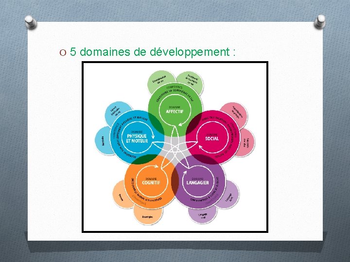 O 5 domaines de développement : 