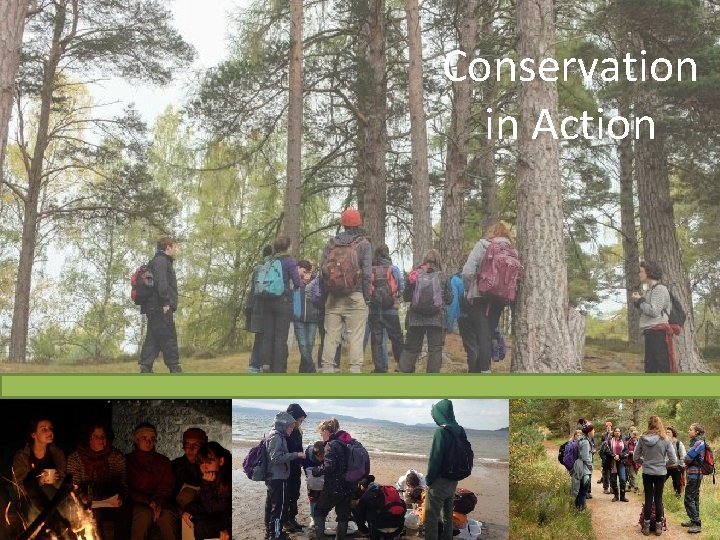 Conservation in Action 