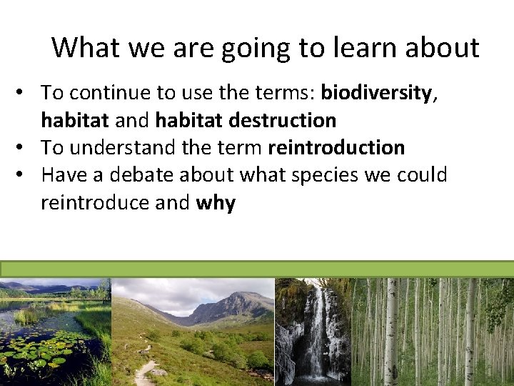 What we are going to learn about • To continue to use the terms: