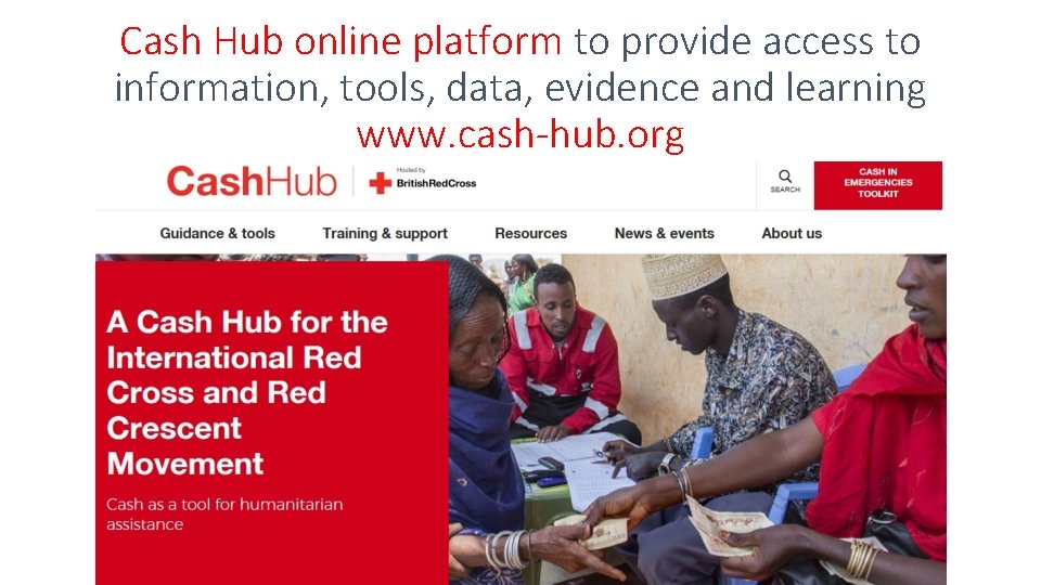 Cash Hub online platform to provide access to information, tools, data, evidence and learning