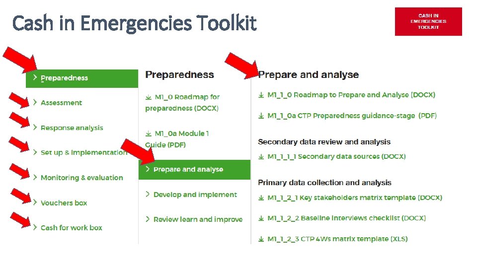 Cash in Emergencies Toolkit 