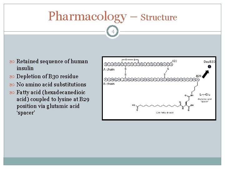 Pharmacology – Structure 4 Retained sequence of human insulin Depletion of B 30 residue