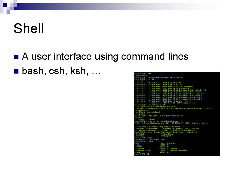 Shell A user interface using command lines n bash, csh, ksh, … n Shell A user interface using command lines n bash, csh, ksh, … n