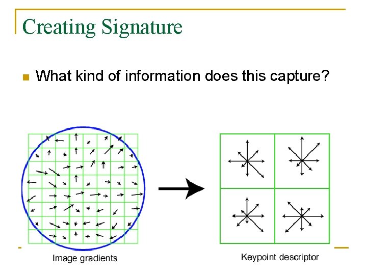 Creating Signature n What kind of information does this capture? 