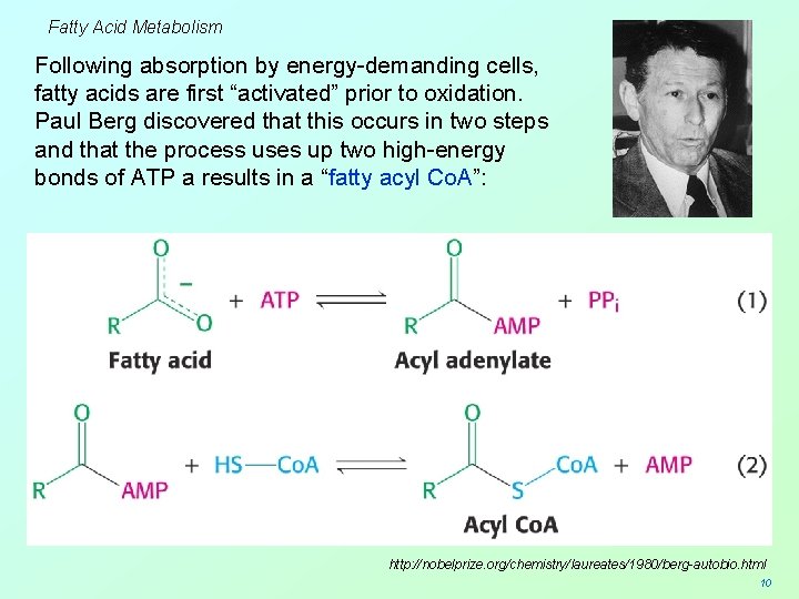 Fatty Acid Metabolism Following absorption by energy-demanding cells, fatty acids are first “activated” prior