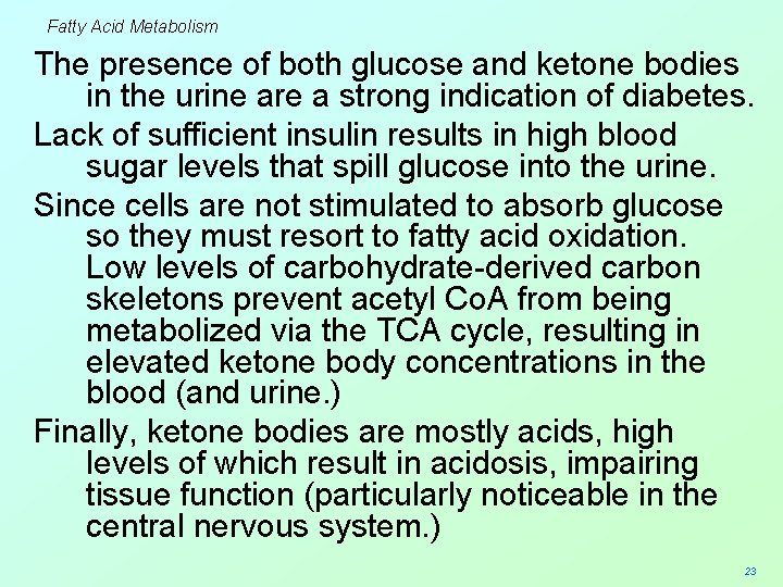 Fatty Acid Metabolism The presence of both glucose and ketone bodies in the urine