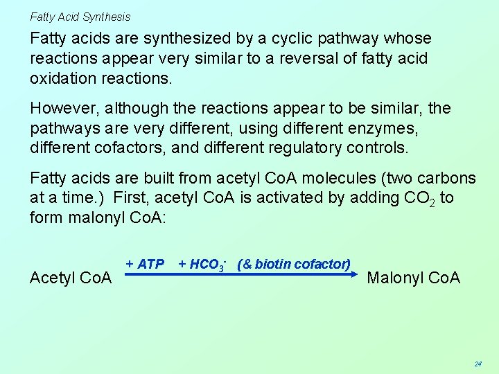 Fatty Acid Synthesis Fatty acids are synthesized by a cyclic pathway whose reactions appear