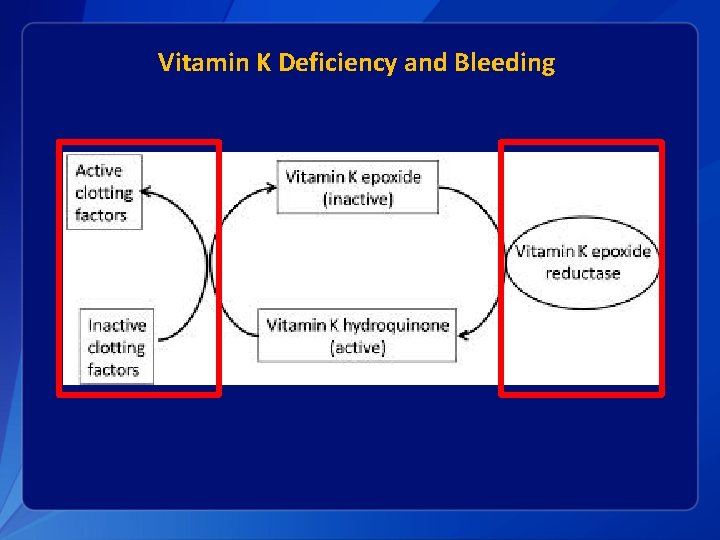 Vitamin K Deficiency and Bleeding 