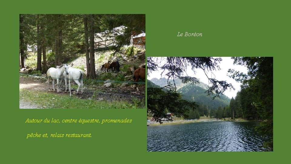 Le Boréon Autour du lac, centre équestre, promenades pêche et, relais restaurant. 