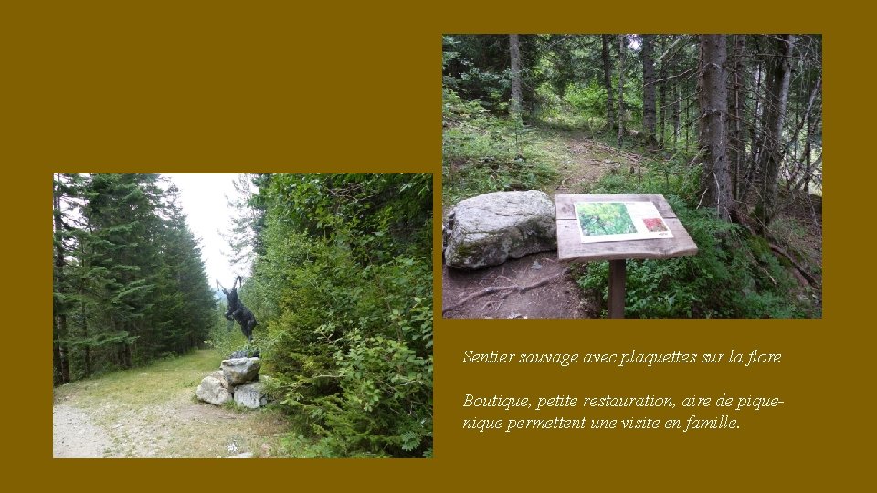 Sentier sauvage avec plaquettes sur la flore Boutique, petite restauration, aire de piquenique permettent