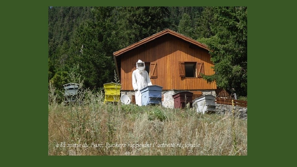 à la sortie du Parc, Ruchers rappelant l’activité régionale 