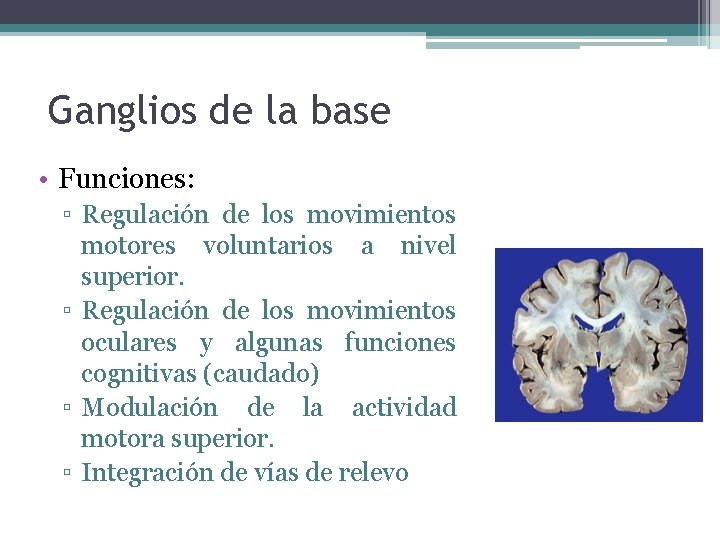 Ganglios de la base • Funciones: ▫ Regulación de los movimientos motores voluntarios a