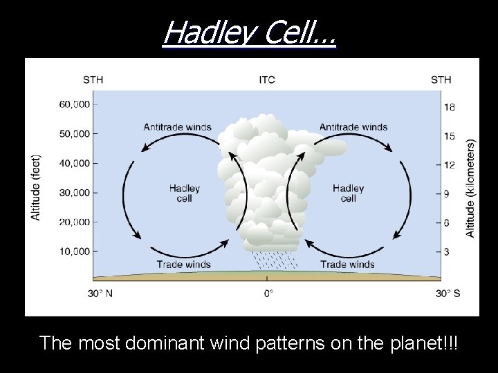 Hadley Cell… The most dominant wind patterns on the planet!!! 
