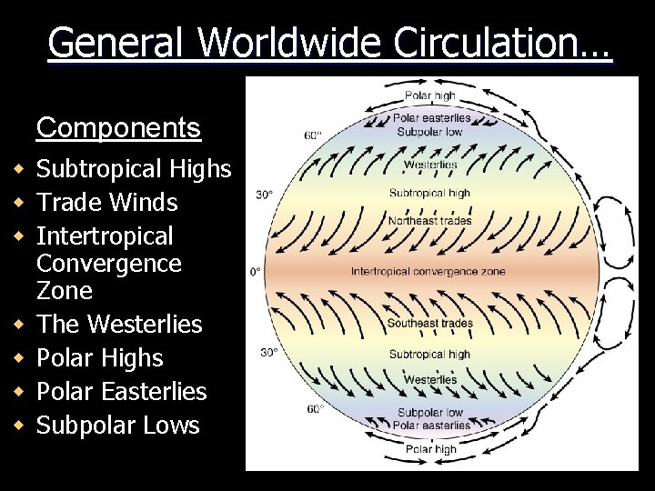 General Worldwide Circulation… Components w Subtropical Highs w Trade Winds w Intertropical Convergence Zone