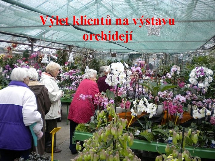 Výlet klientů na výstavu orchidejí 