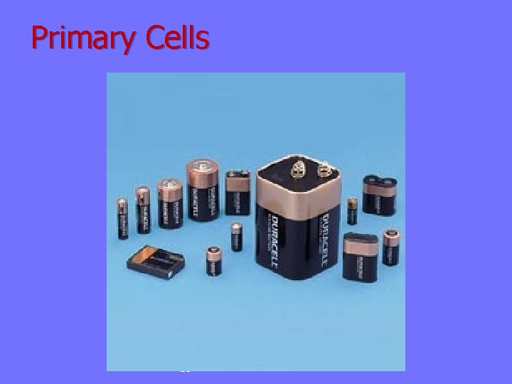 Primary Cells 28 