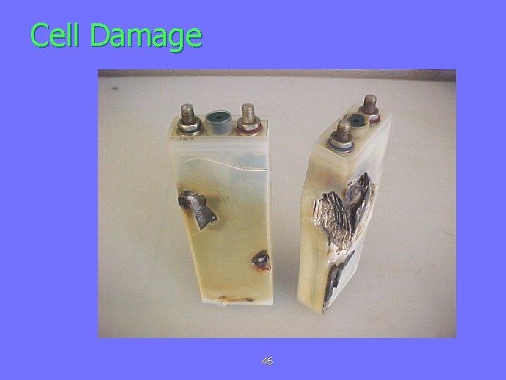 Cell Damage 46 