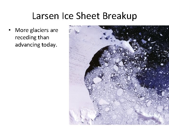 Larsen Ice Sheet Breakup • More glaciers are receding than advancing today. 