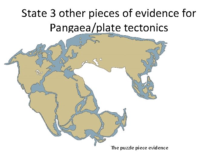 State 3 other pieces of evidence for Pangaea/plate tectonics The puzzle piece evidence 