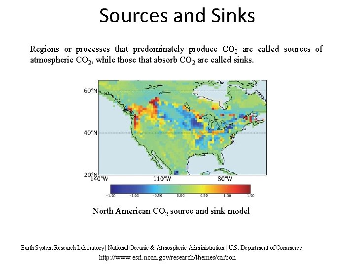 Sources and Sinks Regions or processes that predominately produce CO 2 are called sources