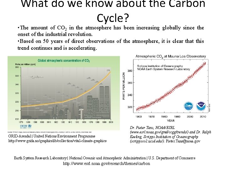 What do we know about the Carbon Cycle? • The amount of CO 2