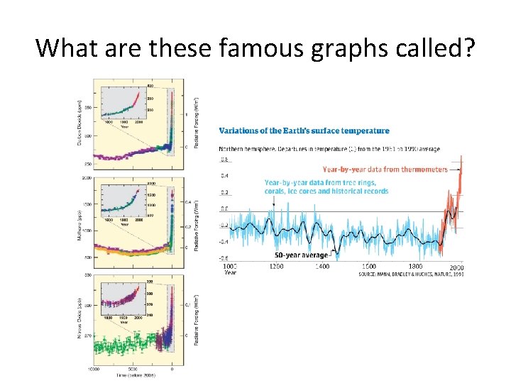What are these famous graphs called? 