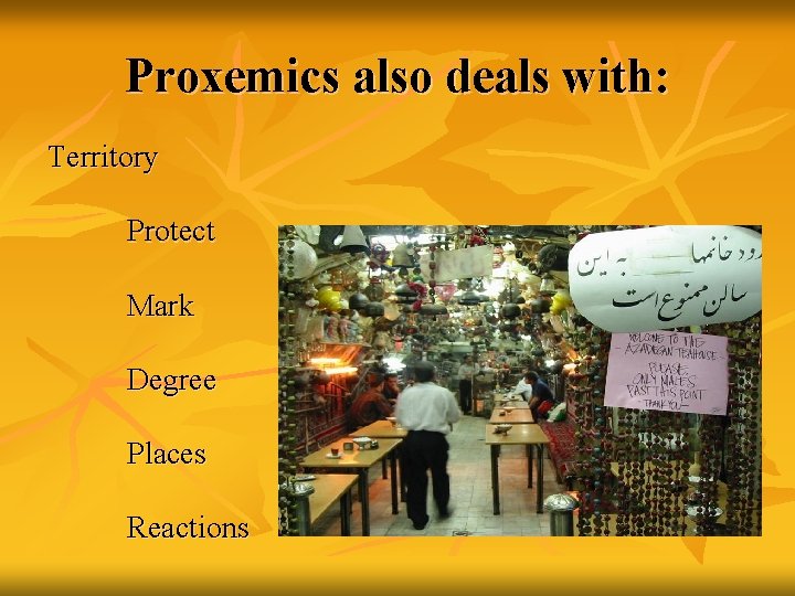 Proxemics also deals with: Territory Protect Mark Degree Places Reactions 