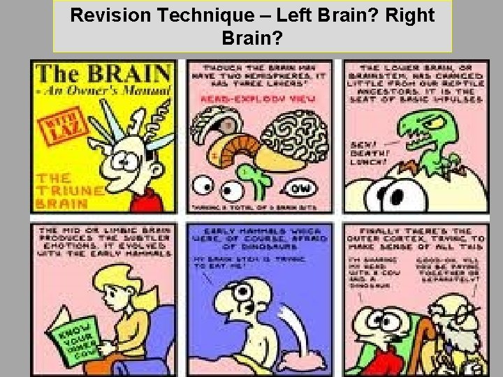 Revision Technique – Left Brain? Right Brain? If you’re mostly right brained : • Revision Technique – Left Brain? Right Brain? If you’re mostly right brained : •