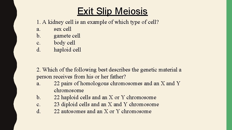 Exit Slip Meiosis 1. A kidney cell is an example of which type of