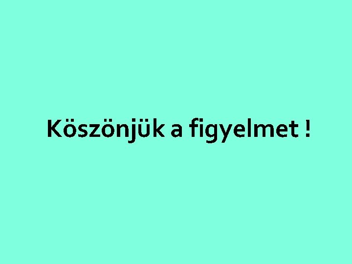 Köszönjük a figyelmet ! 