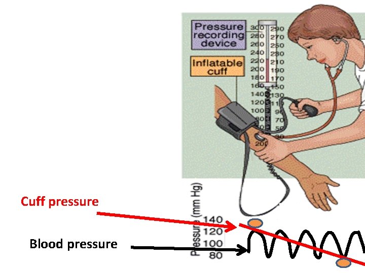 Cuff pressure Blood pressure 