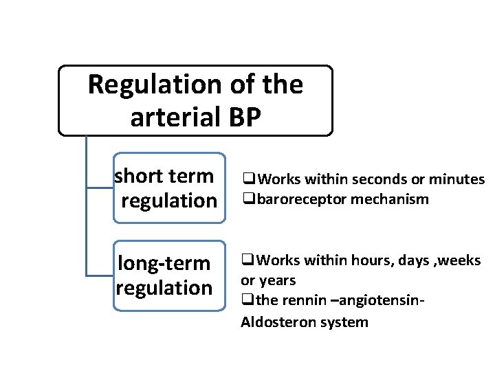 Regulation of the arterial BP short term regulation q. Works within seconds or minutes