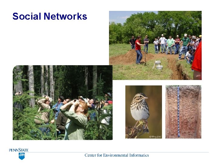 Social Networks Social Networks