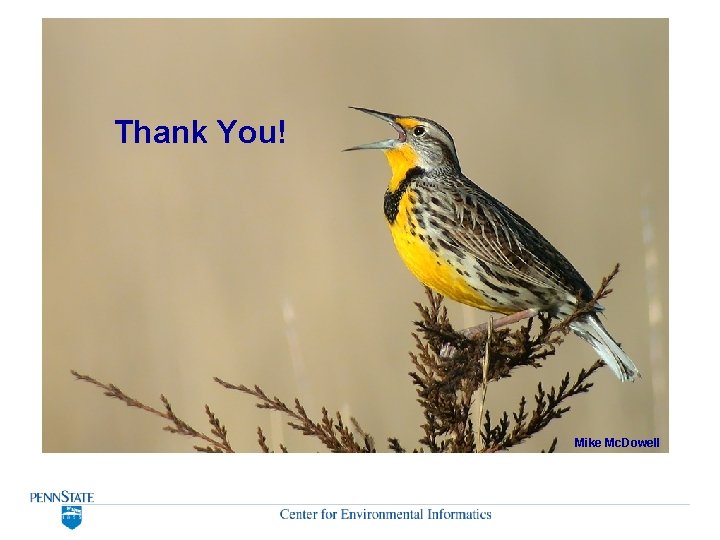 Thank You! Mike Mc. Dowell Thank You! Mike Mc. Dowell