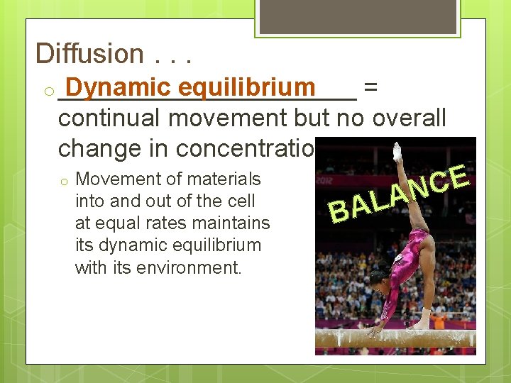 Diffusion. . . o ___________ Dynamic equilibrium = continual movement but no overall change