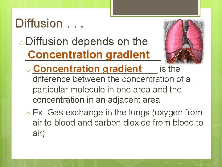 Diffusion. . . o Diffusion depends on the Concentration gradient ____________ o o _____________