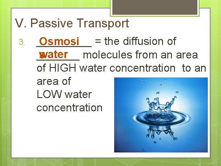 V. Passive Transport 3. _____ Osmosi = the diffusion of w _______ s ater