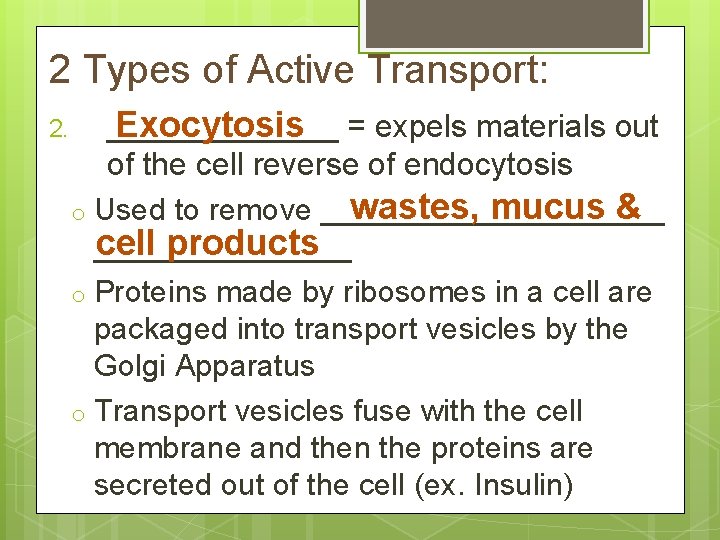 2 Types of Active Transport: 2. _______ Exocytosis = expels materials out of the