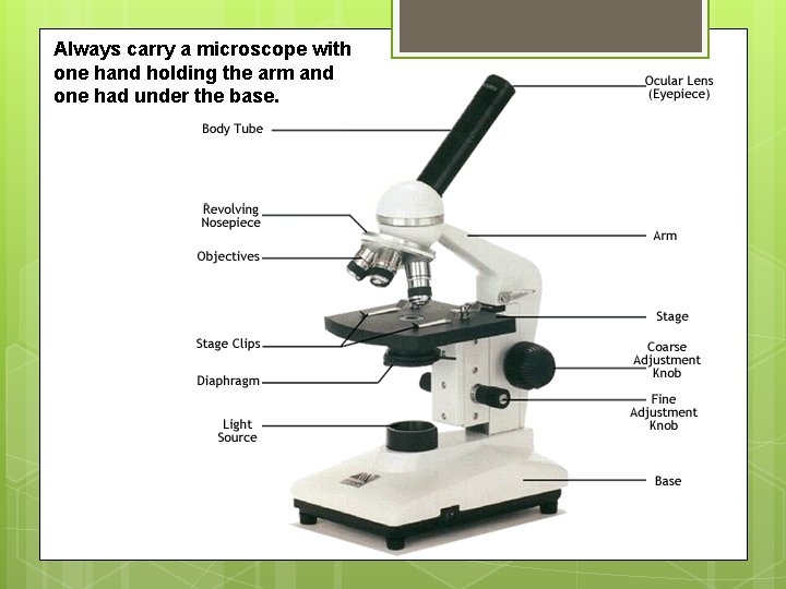 Always carry a microscope with one hand holding the arm and one had under