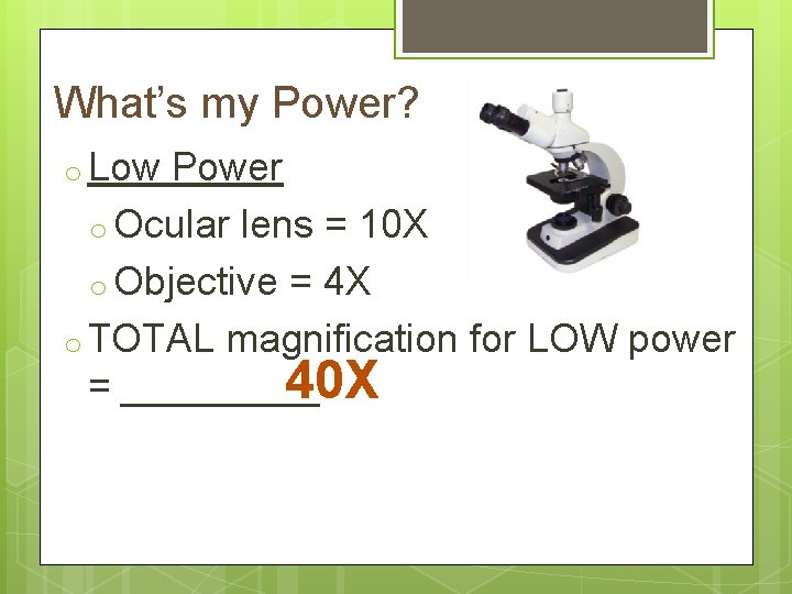 What’s my Power? o Low Power o Ocular lens = 10 X o Objective