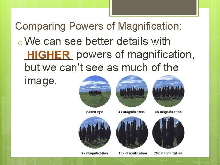 Comparing Powers of Magnification: o We can see better details with ____ HIGHER powers