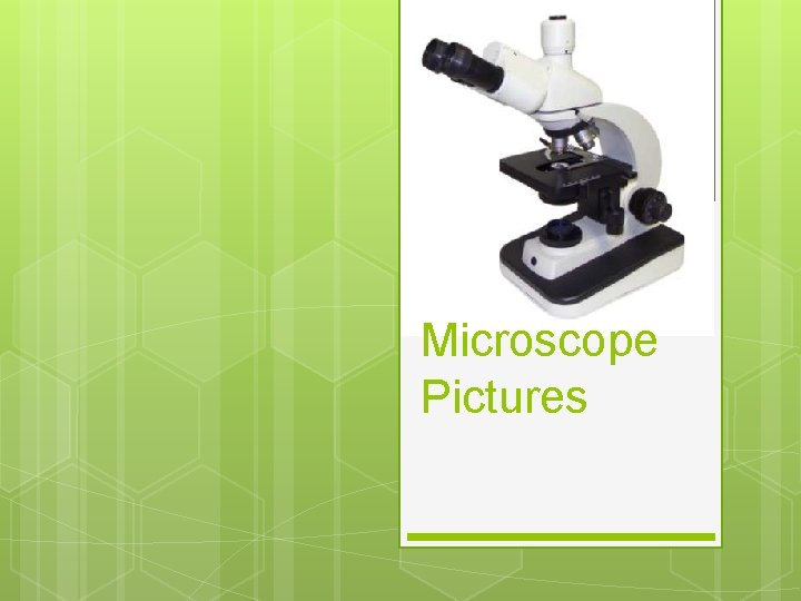 Microscope Pictures 
