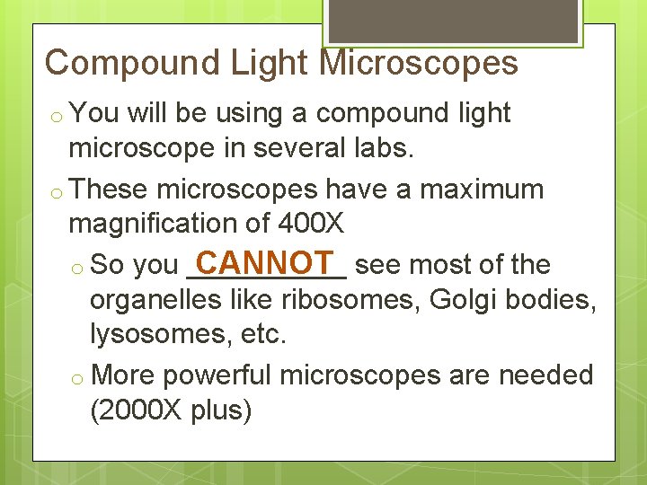 Compound Light Microscopes o You will be using a compound light microscope in several