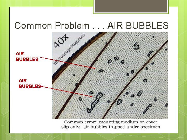 Common Problem. . . AIR BUBBLES 