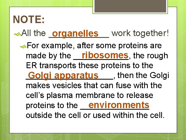 NOTE: All the ______ organelles work together! For example, after some proteins are made